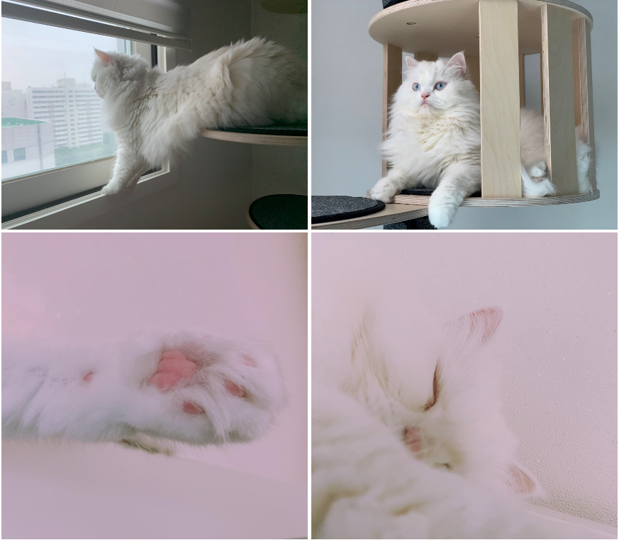 272019191008407.PNG