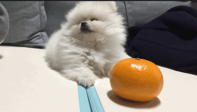 522019560407143.gif